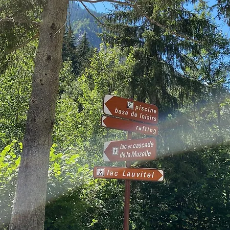 Central 2 Alpes Duplex 8 P *