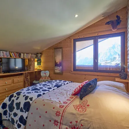 Central 2 Alpes Duplex 8 P Apartment